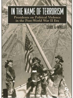 cover image of In the Name of Terrorism